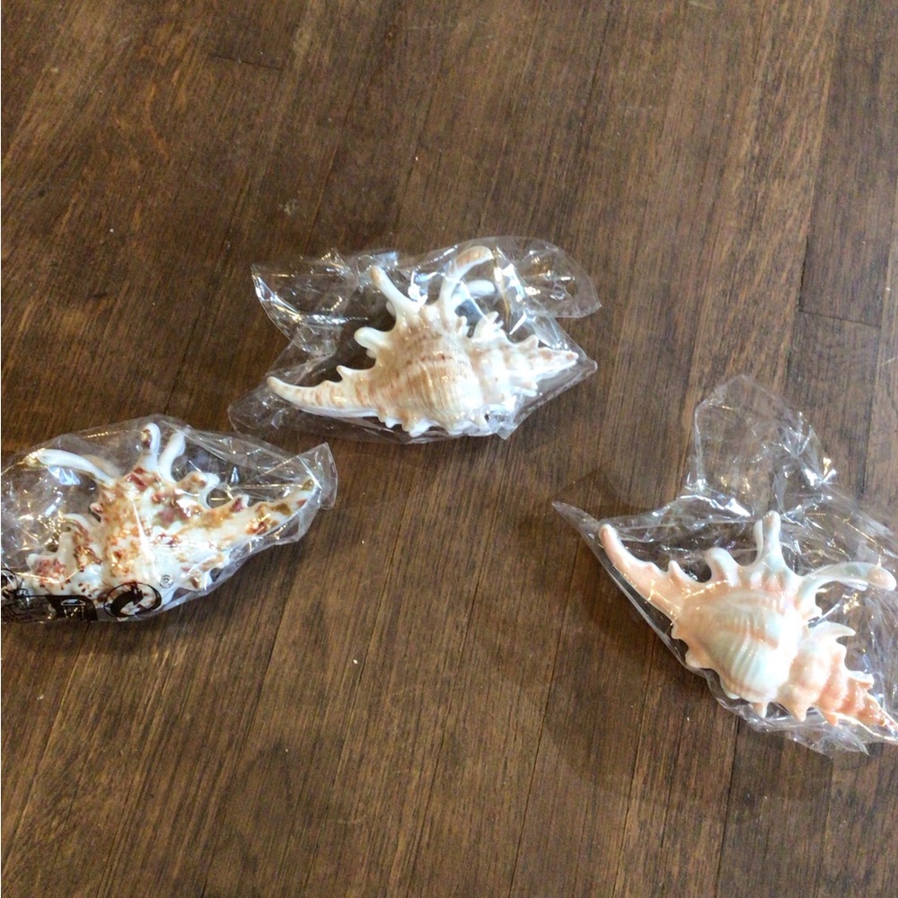 NEW! Set of 3 Shell Hair Claws in Cream, Beige & Coral - Picture 2 of 5